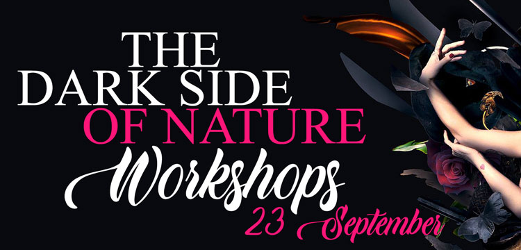 The dark side of nature – workshop