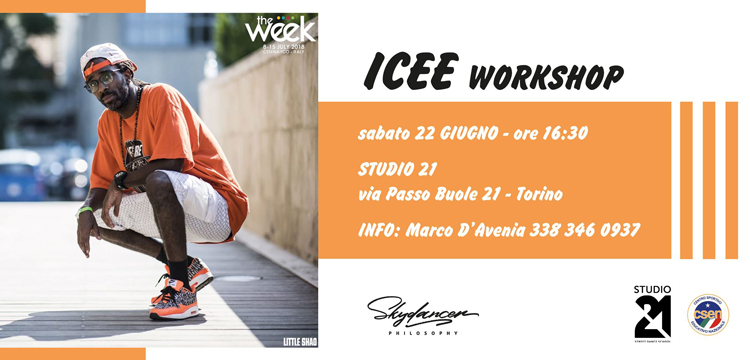 ICEE – workshop